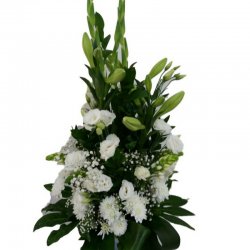 סדור גבוה בלבן